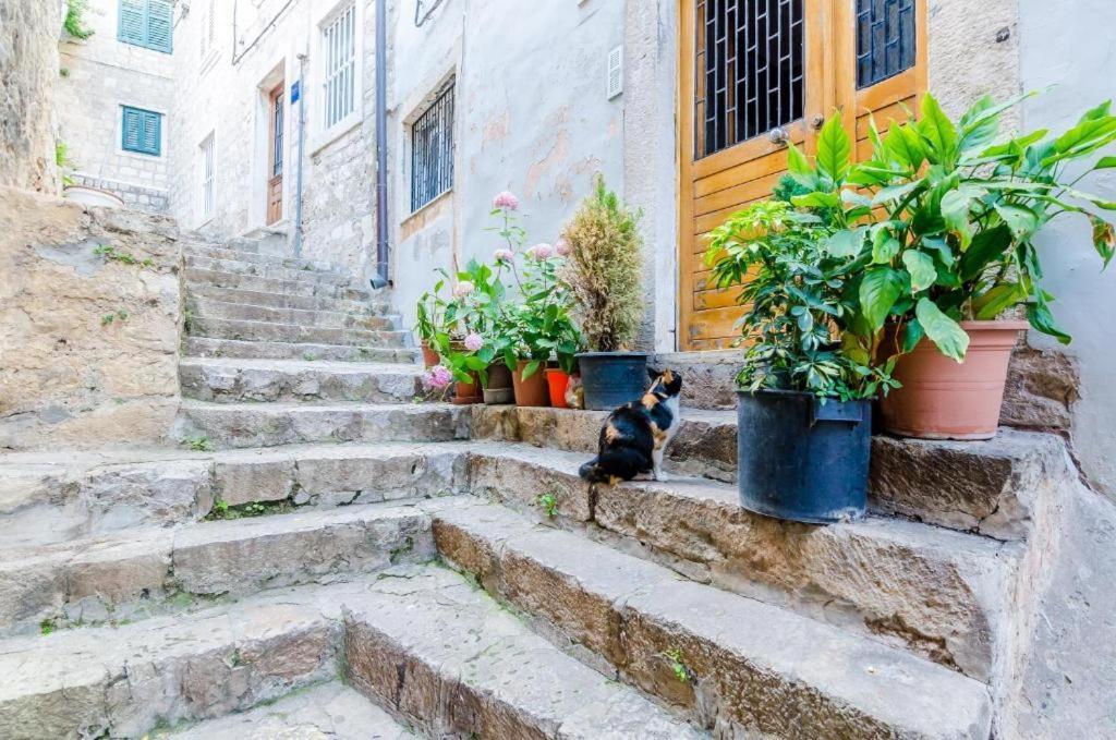 Apartment Ivona Dubrovnik Exterior photo
